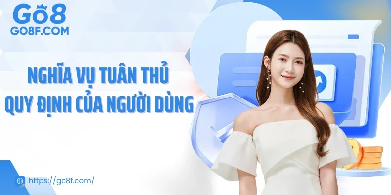 Nghĩa vụ tuân thủ quy định của người dùng 